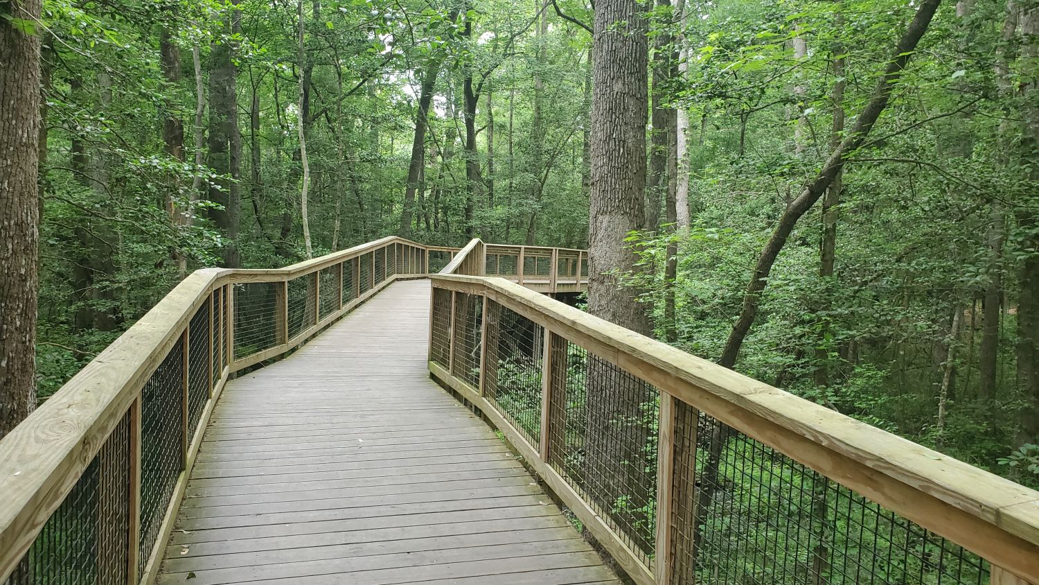 Congaree NP 